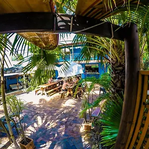 https://cool-bananas-backpackers.queenslandhotels.net